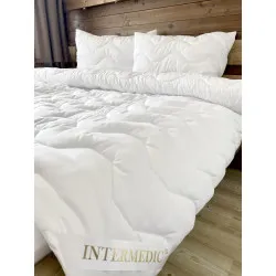 Garnitúra Paplan + Párna Aloe Vera – hipoallergén 100x135/40x60 cm