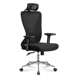 Manager 3.5 Fekete ergonomikus irodai szék állítható magassággal és deréktámasz funkcióval